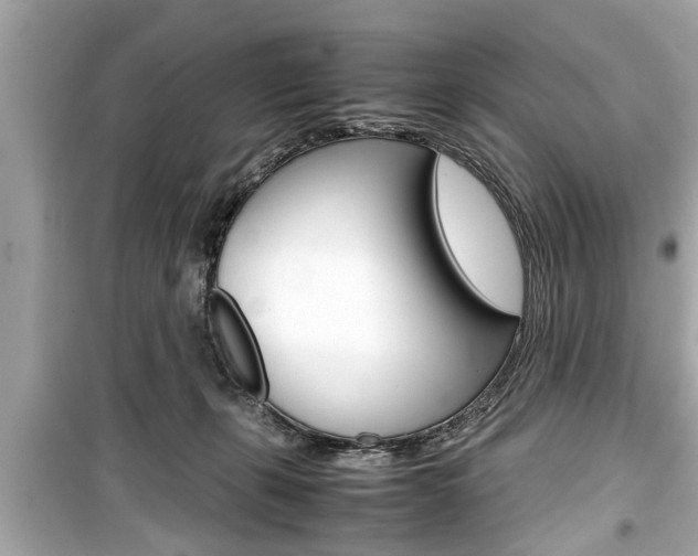 X0000099550271200805160734