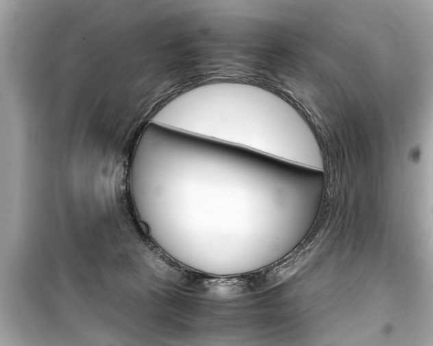 X0000099550273200805160734