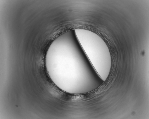 X0000099550274200805160734