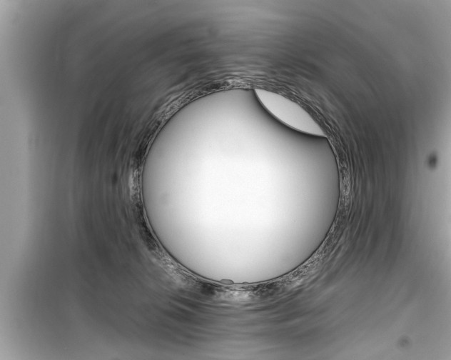 X0000099550276200805160734