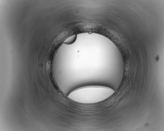 X0000099550278200805160734