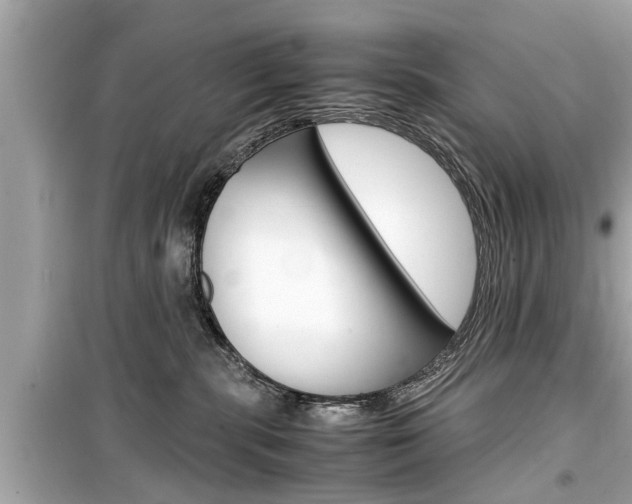 X0000099550283200805160734