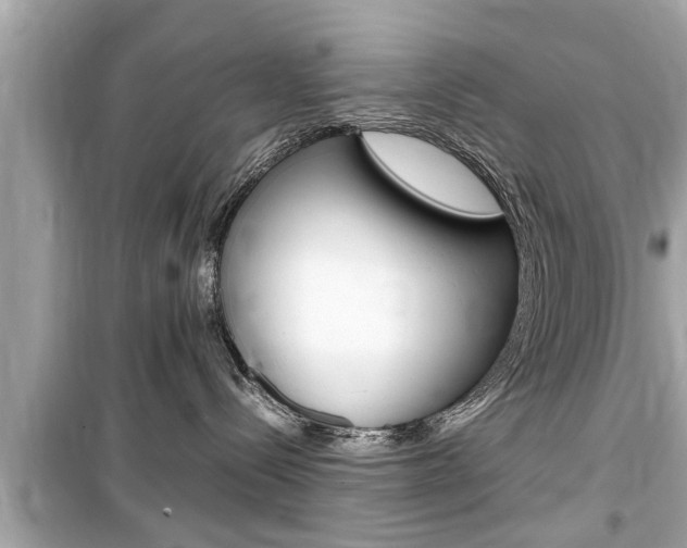 X0000099550288200805160734