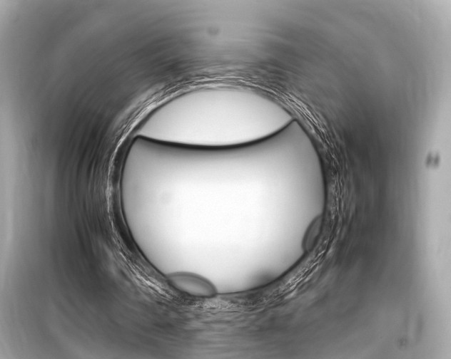 X0000099550290200805160733