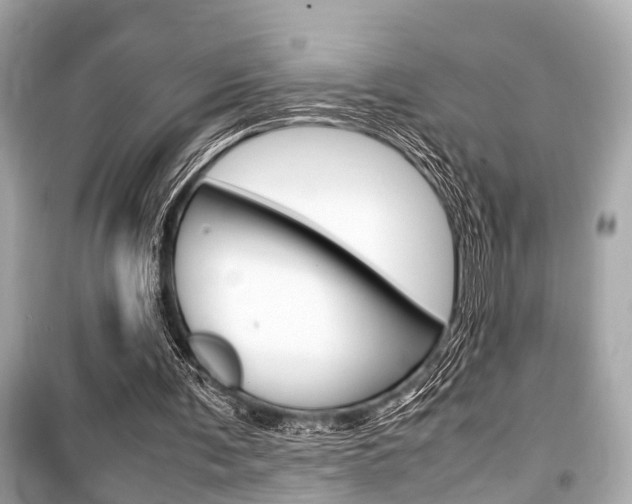 X0000099550291200805160733