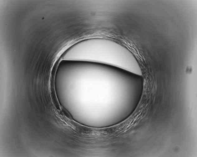 X0000099550292200805160733
