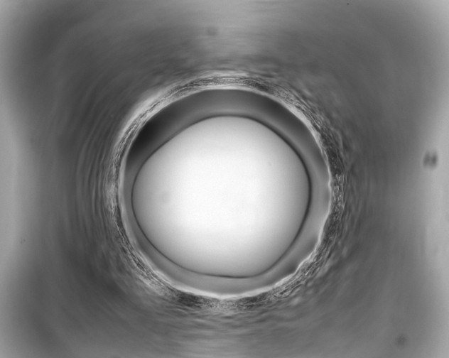 X0000099550293200805160733