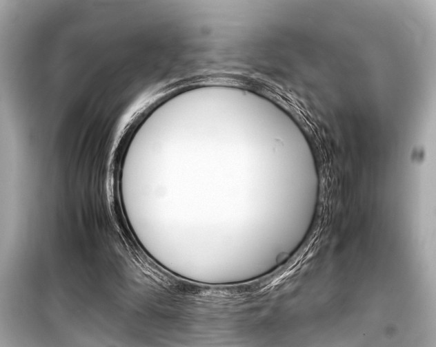 X0000099550294200805160733