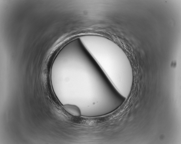 X0000099550295200805160733