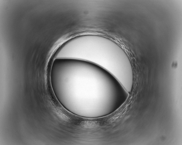 X0000099550296200805160733