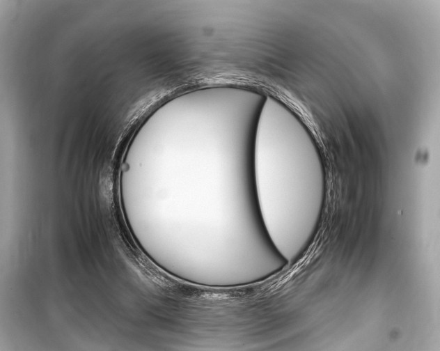 X0000099550298200805160733