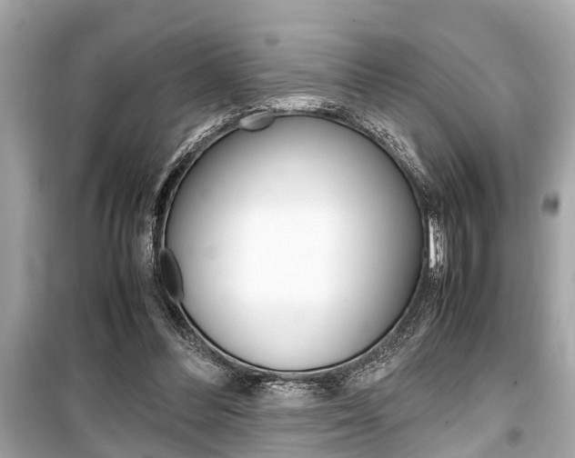 X0000099550300200805160733