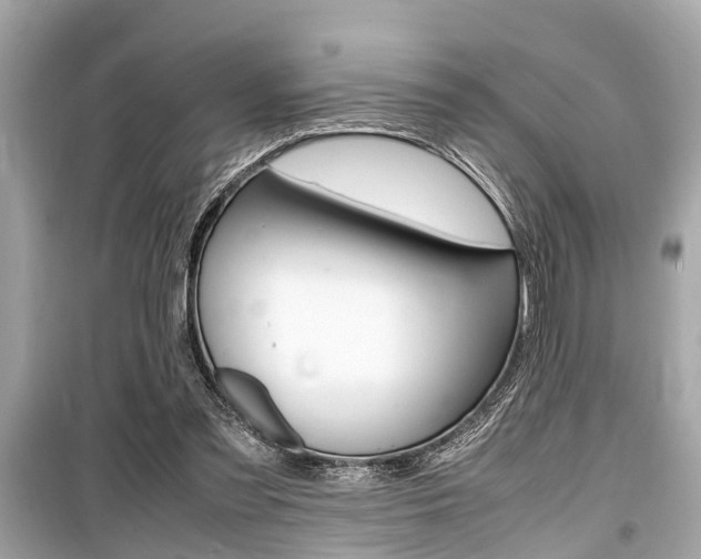 X0000099550301200805160733