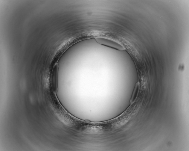 X0000099550304200805160733