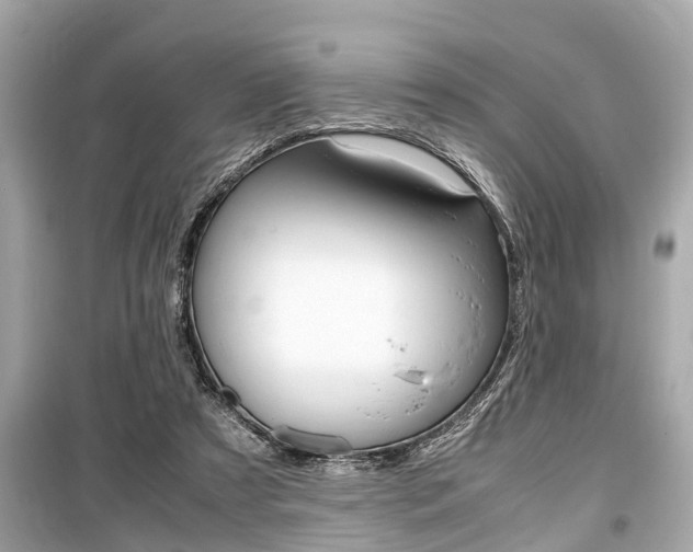 X0000099550305200805160733