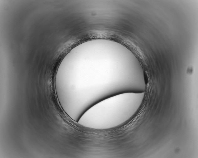 X0000099550306200805160733