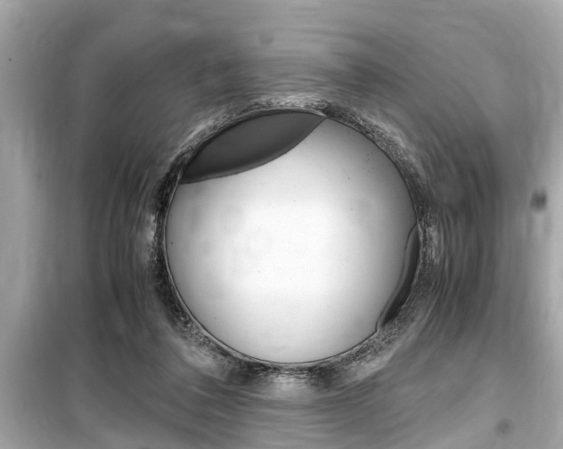 X0000099550308200805160733