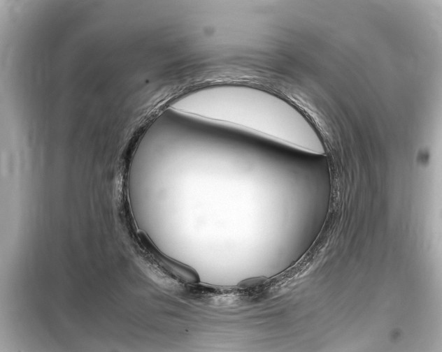 X0000099550309200805160733