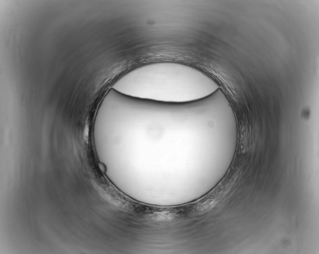 X0000099550310200805160733