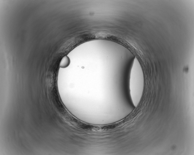 X0000099550311200805160733