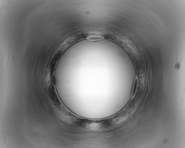 X0000099550312200805160733