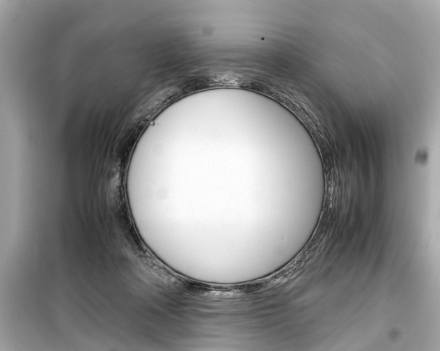 X0000099550314200805160733