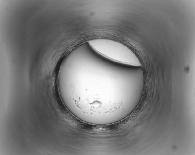 X0000099550315200805160733