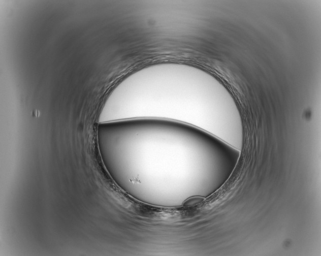 X0000099550317200805160733