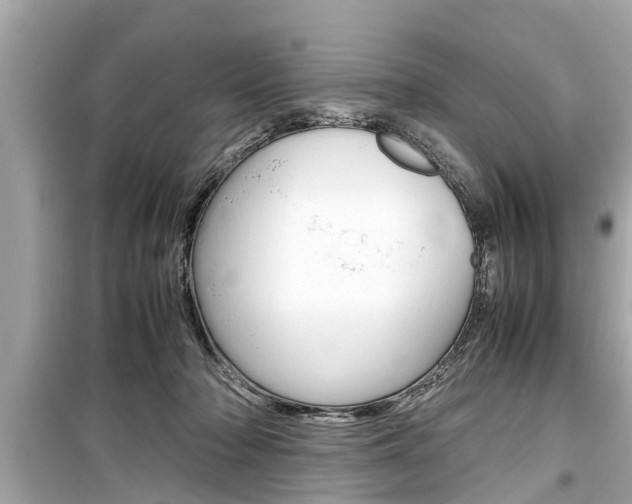 X0000099550318200805160733