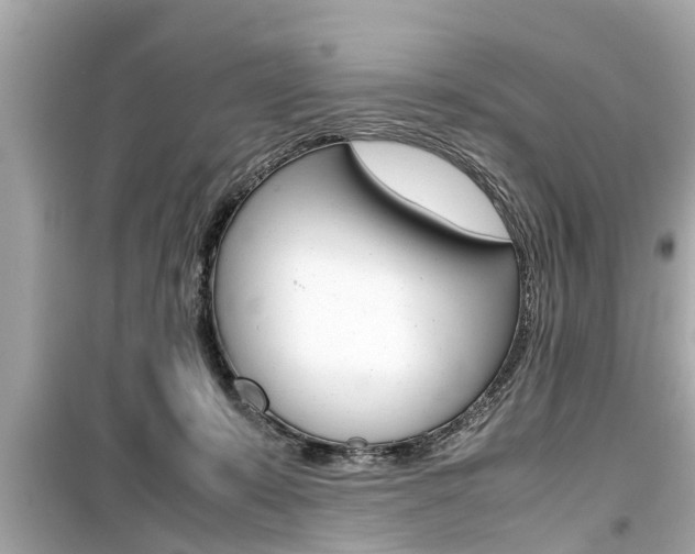 X0000099550319200805160732