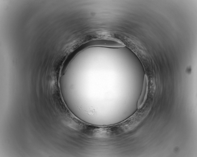 X0000099550320200805160732