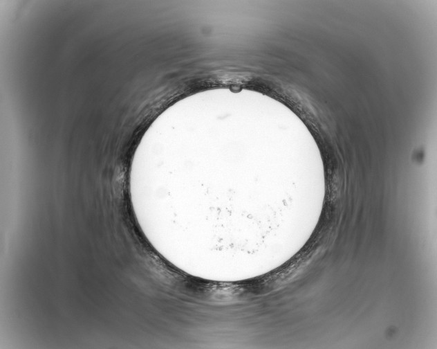 X0000099550321200805160732
