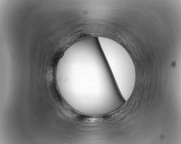 X0000099550323200805160732