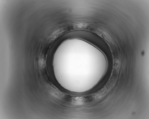 X0000099550324200805160732