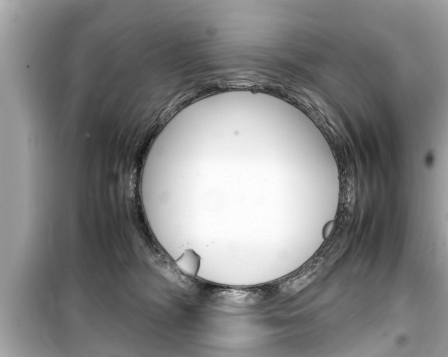 X0000099550326200805160732