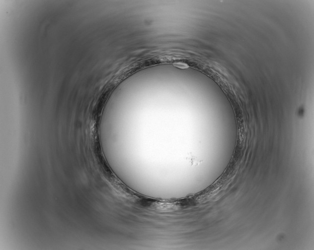 X0000099550327200805160732