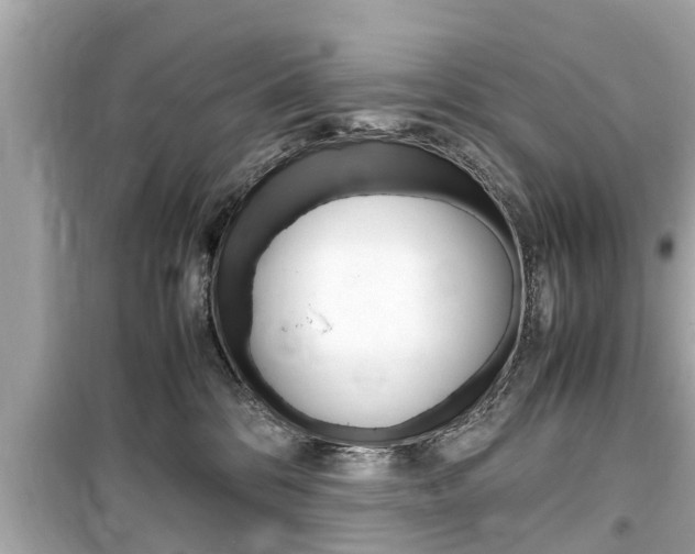 X0000099550328200805160732
