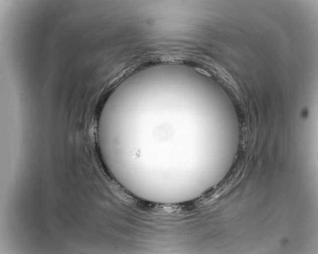 X0000099550329200805160732