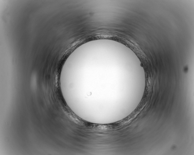 X0000099550330200805160732