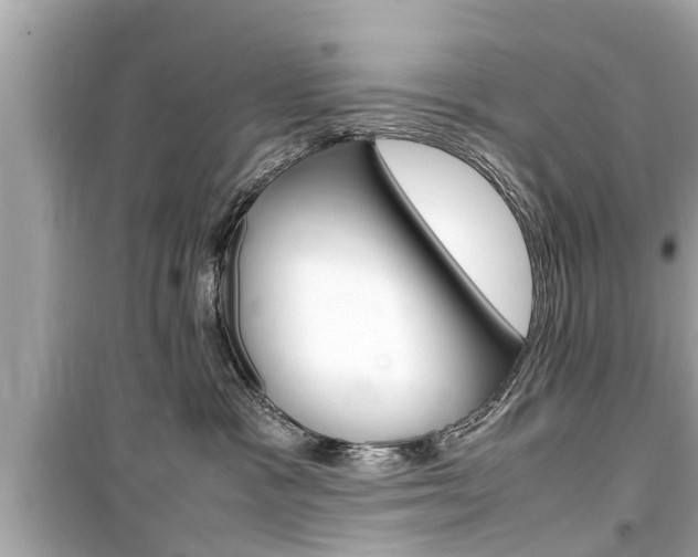 X0000099550333200805160732