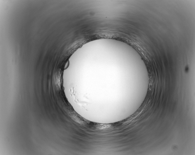 X0000099550334200805160732