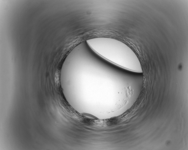 X0000099550335200805160732