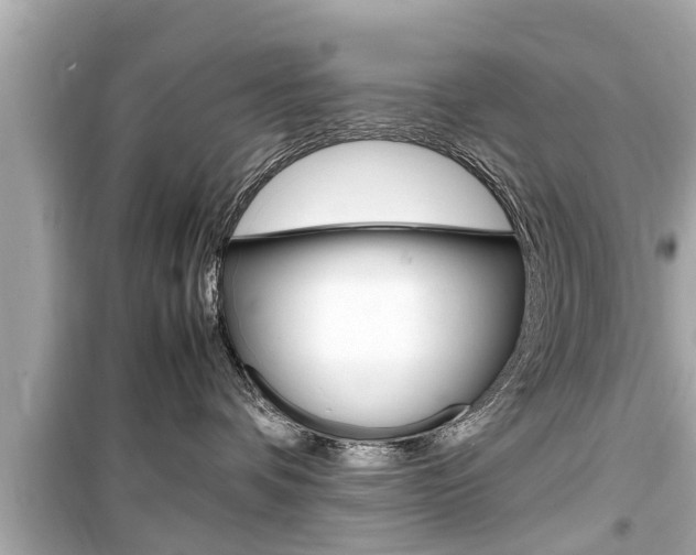 X0000099550336200805160732