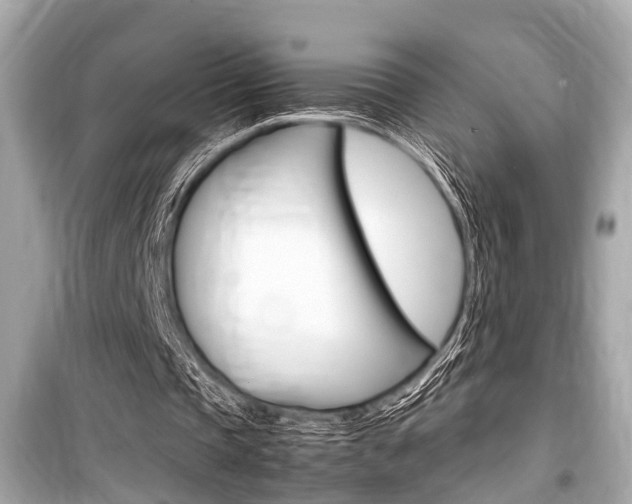 X0000099550337200805160731