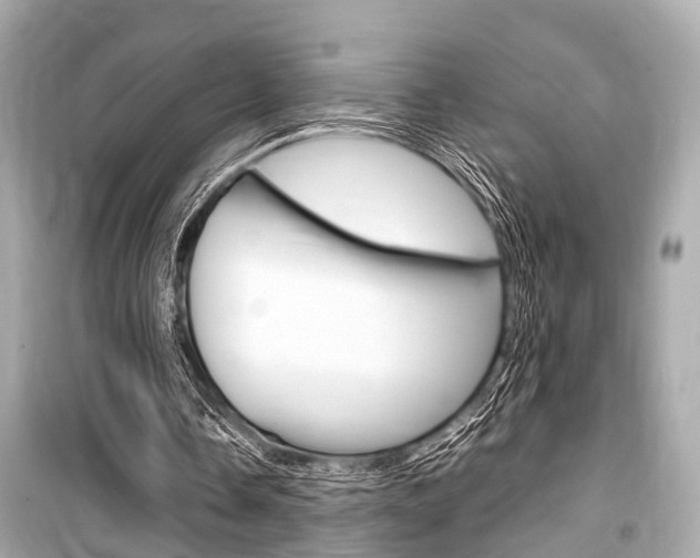 X0000099550338200805160731