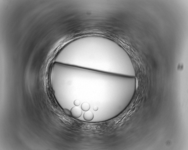 X0000099550339200805160731