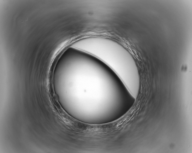 X0000099550340200805160731