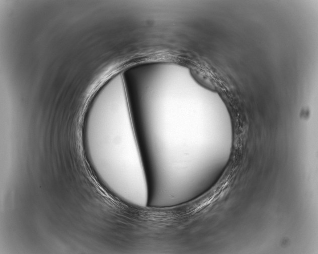 X0000099550341200805160731