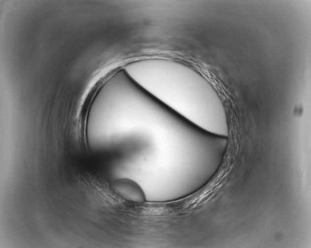 X0000099550342200805160732