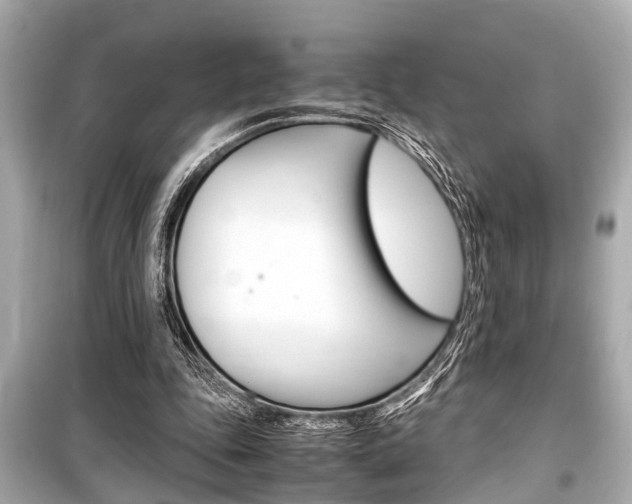 X0000099550343200805160732